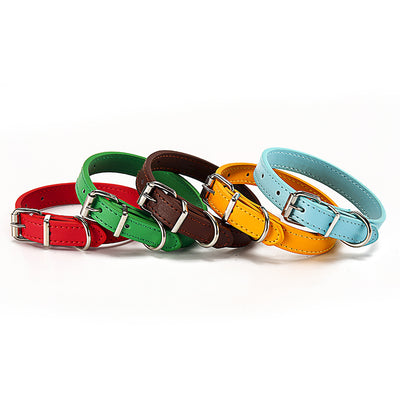 Pet supplies collar - petsRcool1