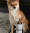 Electric foot washing cups for pets - petsRcool1