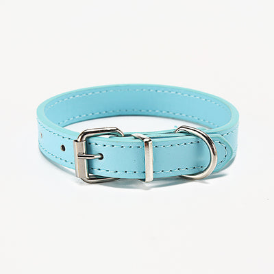 Pet supplies collar - petsRcool1