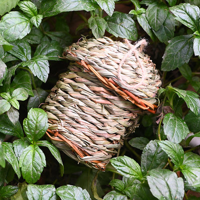 Creative Straw Birds Nest - petsRcool1