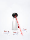 Smart Teasing Pet Laser Toy - petsRcool1