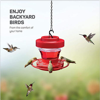 Bird Water Drinker Feeder - petsRcool1