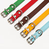 Pet supplies collar - petsRcool1