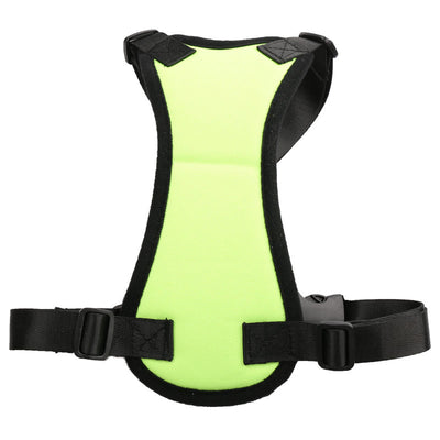 Car seat belts for pets - petsRcool1