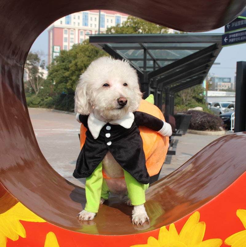 Halloween Pumpkin Clothes for pets