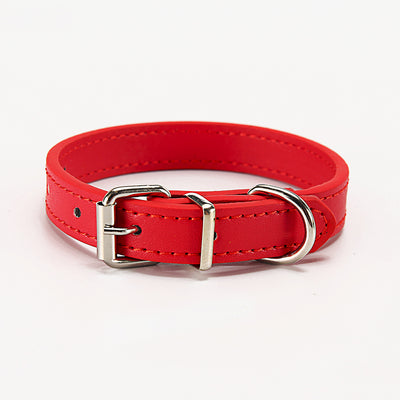 Pet supplies collar - petsRcool1