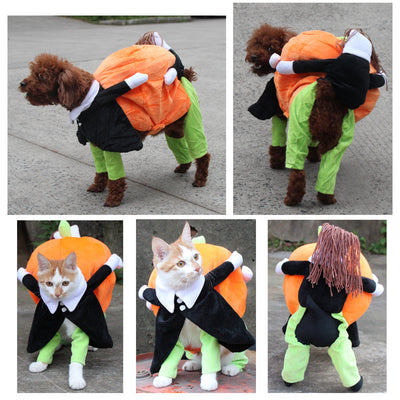 Halloween Pumpkin Clothes for pets - petsRcool1