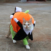 Halloween Pumpkin Clothes for pets - petsRcool1