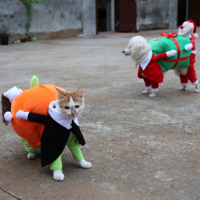 Halloween Pumpkin Clothes for pets - petsRcool1