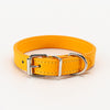 Pet supplies collar - petsRcool1