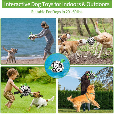 Dog Outdoor training Chew Ball - petsRcool1