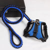 Nylon Dog Harness Collar - petsRcool1