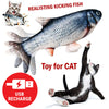 Electric Fish Cat Toy - petsRcool1