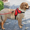 Nylon Dog Harness Collar - petsRcool1