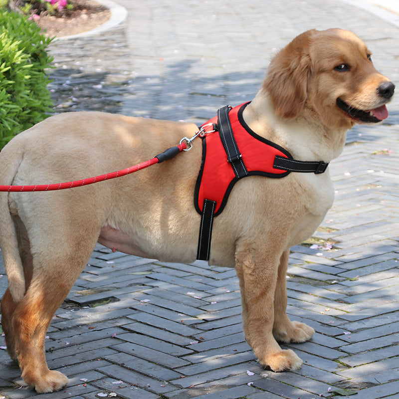 Nylon Dog Harness Collar