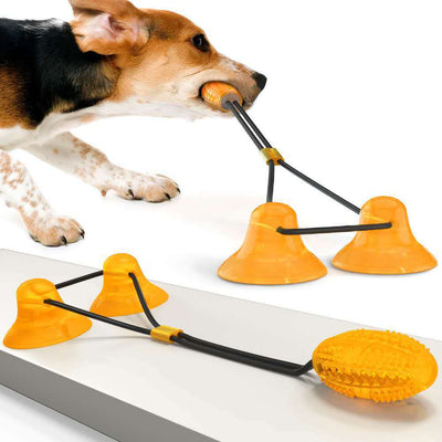 Suction Cup Pets Toys - petsRcool1