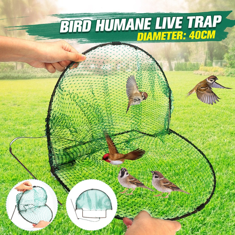 Traps For Bird - petsRcool1