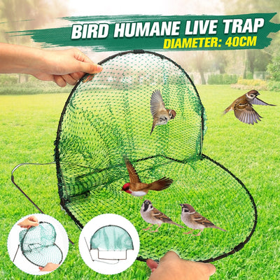 Traps For Bird - petsRcool1