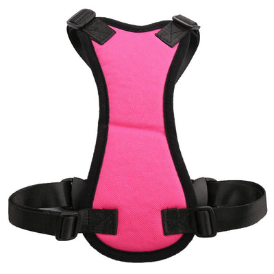 Car seat belts for pets - petsRcool1