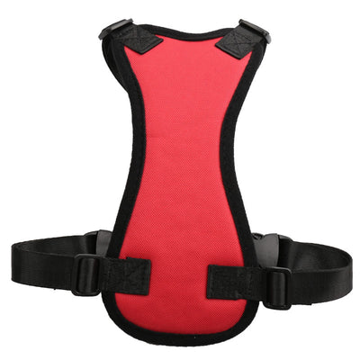 Car seat belts for pets - petsRcool1