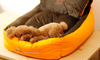 Three-piece Goghouse Pets Bed - petsRcool1