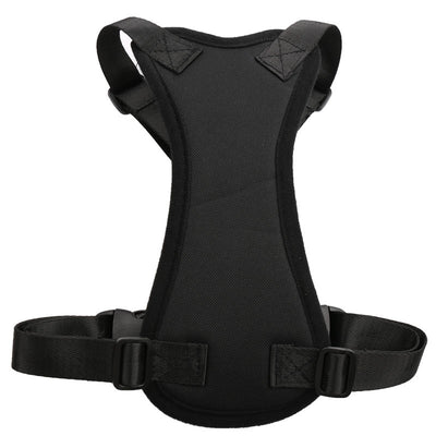 Car seat belts for pets - petsRcool1