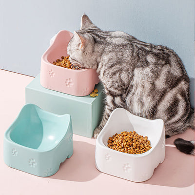 Ceramic bowl for pets - petsRcool1