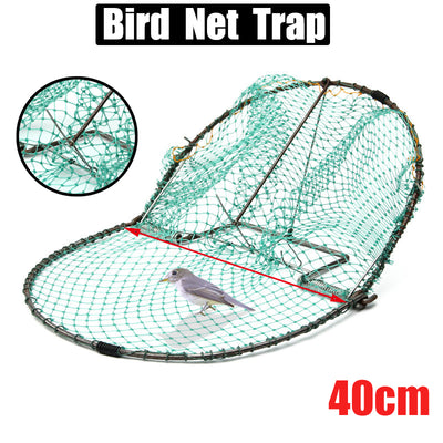 Traps For Bird - petsRcool1