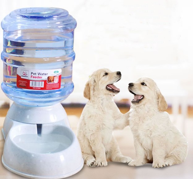 Pet Food Bowl Water Dispenser