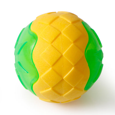 Dog Toy Ball - petsRcool1