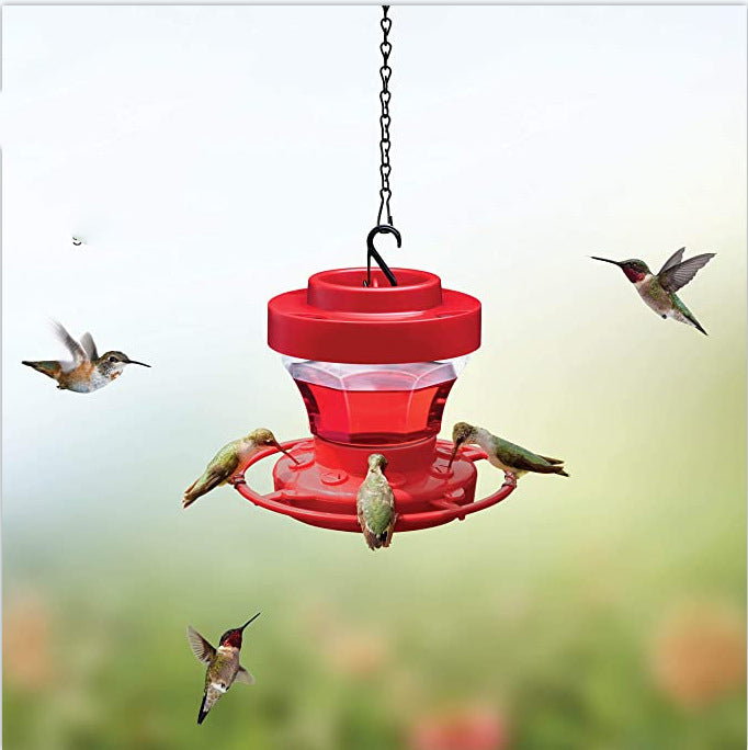 Bird Water Drinker Feeder - petsRcool1