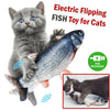 Electric Fish Cat Toy - petsRcool1