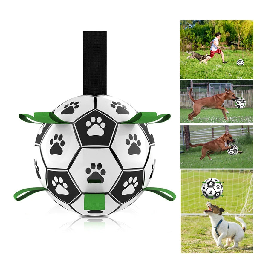 Dog Outdoor training Chew Ball