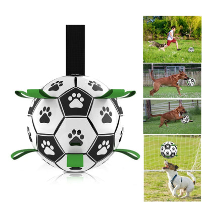 Dog Outdoor training Chew Ball - petsRcool1