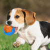 Dog Toy Ball - petsRcool1