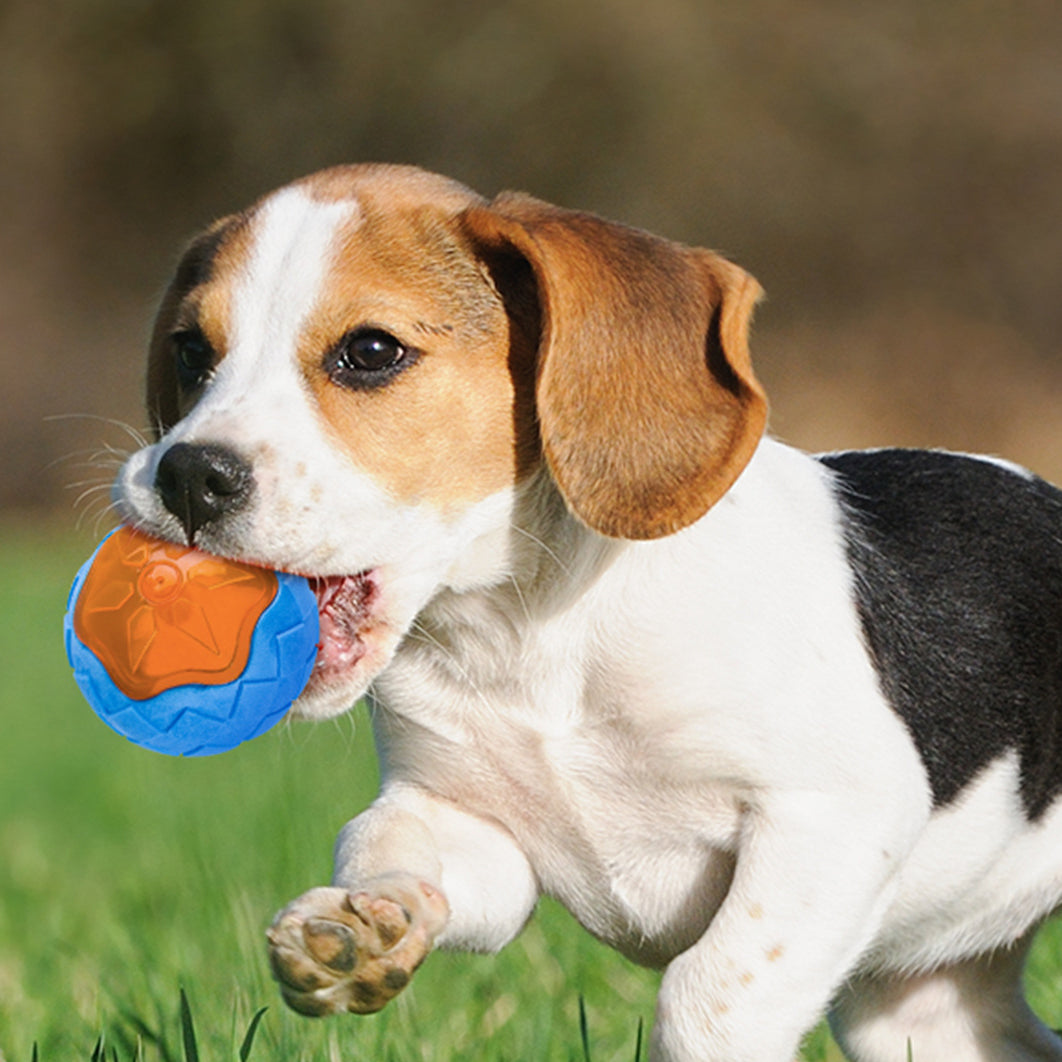 Dog Toy Ball