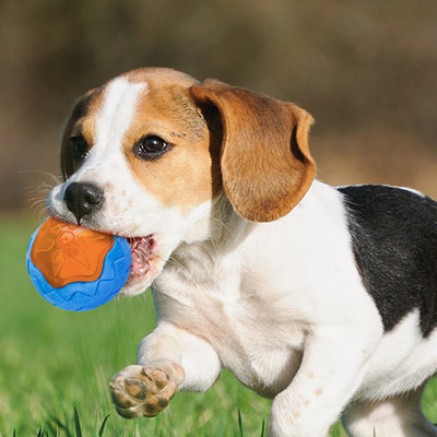 Dog Toy Ball - petsRcool1