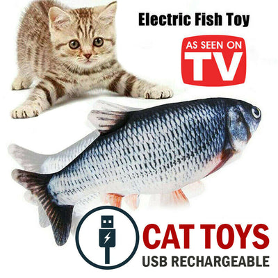 Electric Fish Cat Toy - petsRcool1