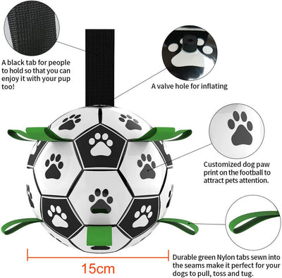 Dog Outdoor training Chew Ball - petsRcool1